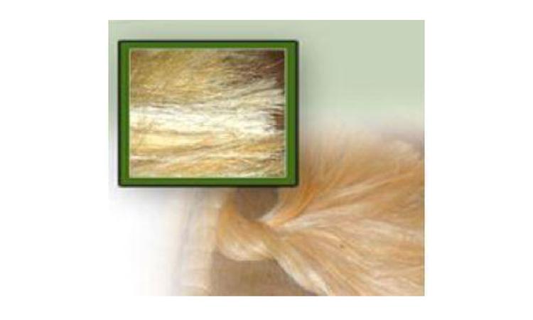 SISAL EM FIBRA / ESTOPA SISAL PARA GESSO