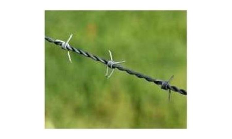 ARAME FARPADO GALVANIZADO, 16 BWG (1,65 MM), CLASSE 250