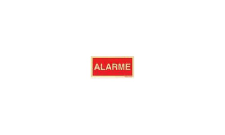 PLACA DE SINALIZACAO DE SEGURANCA CONTRA INCENDIO, FOTOLUMINESCENTE, RETANGULAR, *13 X 26* CM, EM PVC *2* MM ANTI-CHAMAS (SIMBOLOS, CORES E PICTOGRAMAS CONFORME NBR 16820)