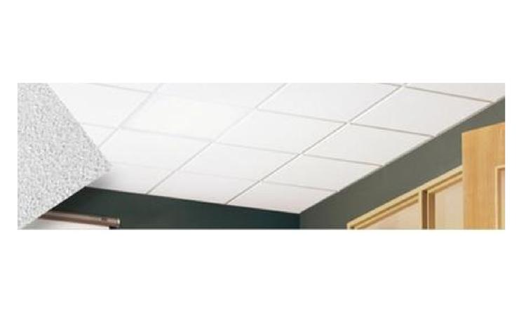 FORRO DE FIBRA MINERAL EM PLACAS DE 1250 X 625 MM, E = 15 MM, BORDA RETA, COM PINTURA ANTIMOFO, APOIADO EM PERFIL DE ACO GALVANIZADO COM 24 MM DE BASE - INSTALADO