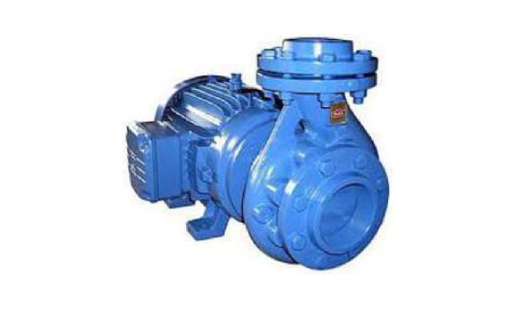 BOMBA CENTRIFUGA MONOESTAGIO COM MOTOR ELETRICO MONOFASICO, POTENCIA 15 HP, DIAMETRO DO ROTOR *173* MM, HM/Q = *30* MCA / *90* M3/H A *45* MCA / *55* M3/H