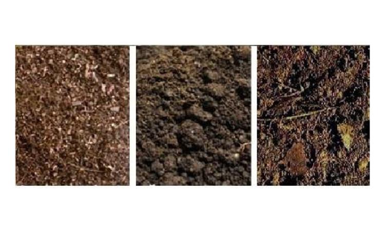 TERRA VEGETAL (GRANEL)